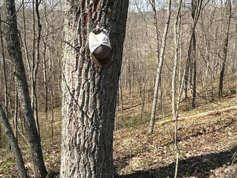 1322 Peniel Road, Patriot, OH 45658 Photo 45