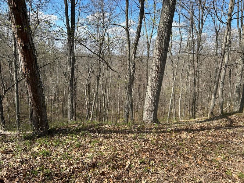 1322 Peniel Road, Patriot, OH 45658 Photo 46