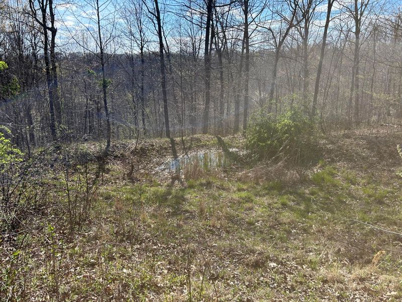 1322 Peniel Road, Patriot, OH 45658 Photo 47