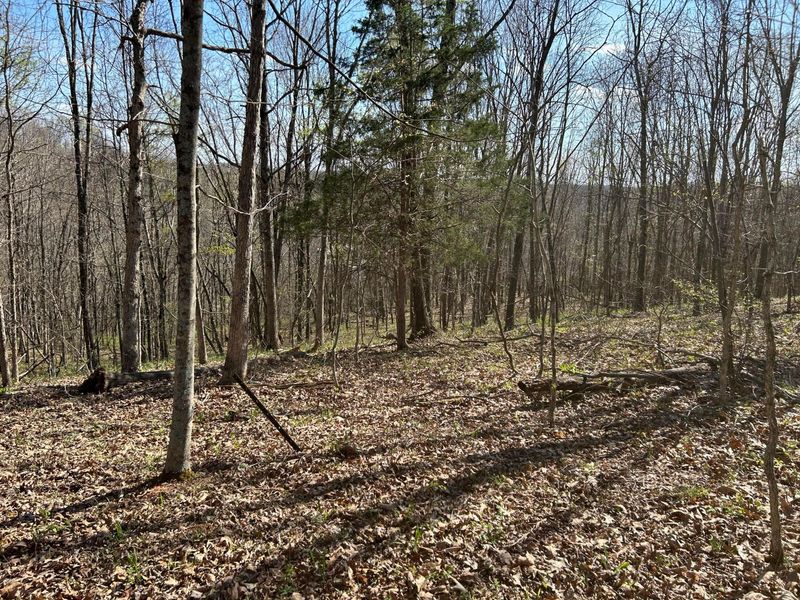 1322 Peniel Road, Patriot, OH 45658 Photo 48