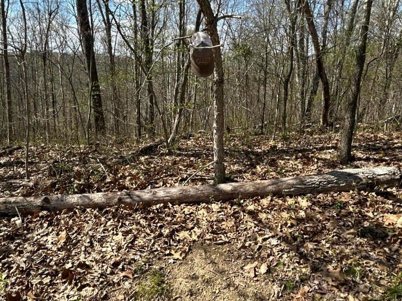 1322 Peniel Road, Patriot, OH 45658 Photo 49