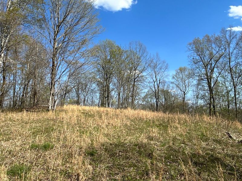 1322 Peniel Road, Patriot, OH 45658 Photo 50