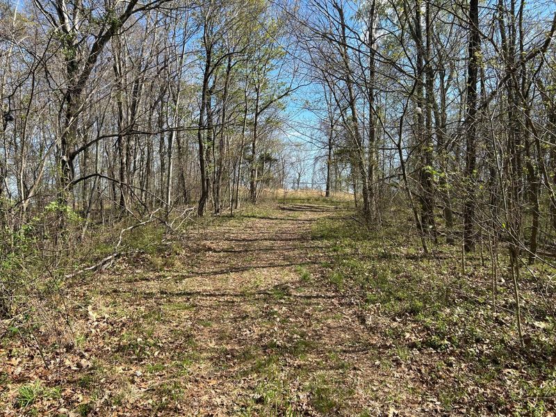 1322 Peniel Road, Patriot, OH 45658 Photo 51