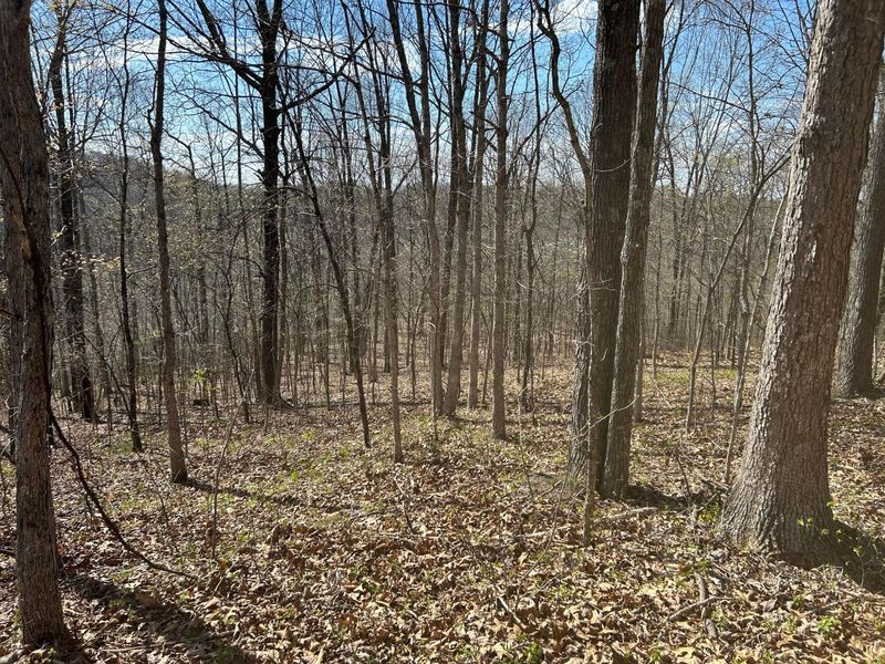 1322 Peniel Road, Patriot, OH 45658 Photo 52