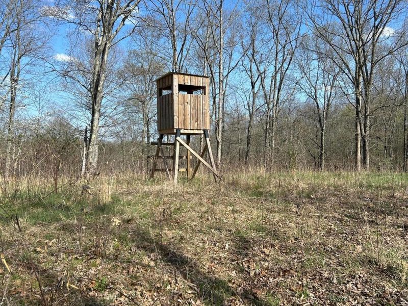 1322 Peniel Road, Patriot, OH 45658 Photo 53