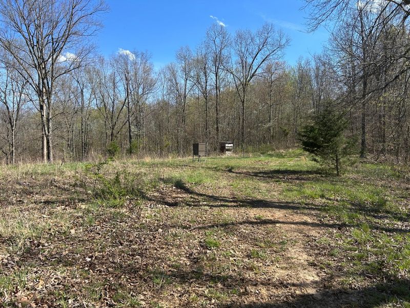 1322 Peniel Road, Patriot, OH 45658 Photo 54