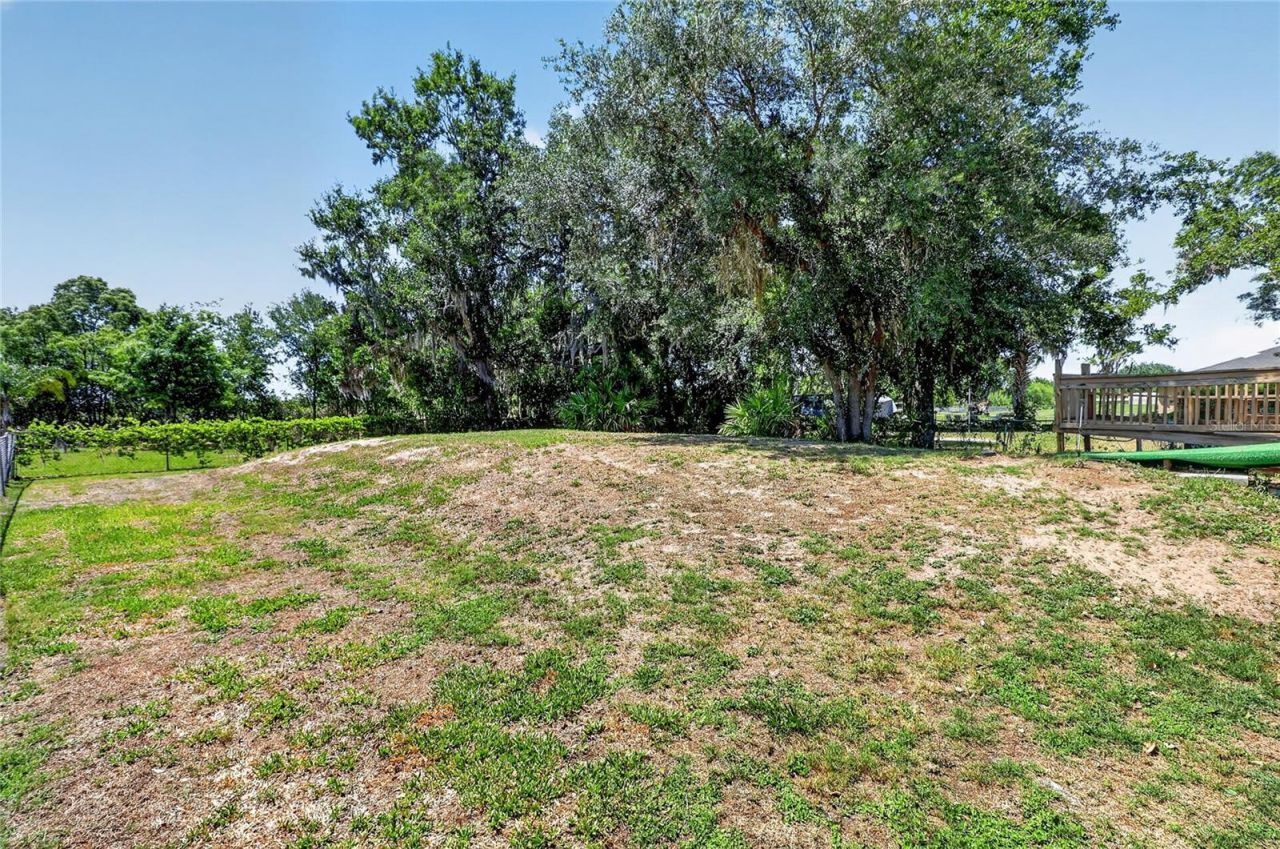 227 Cracker Lane , Wauchula, FL 33873 Photo