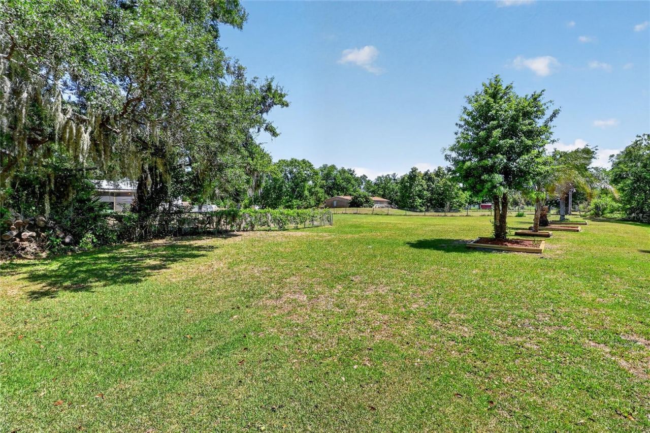 227 Cracker Lane , Wauchula, FL 33873 Photo