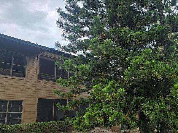 406 LENNOX ROAD W, PALM HARBOR, FL 34683