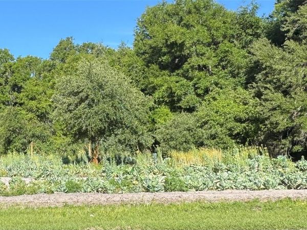 00 COUNTY ROAD 213 , WILDWOOD, FL 34785