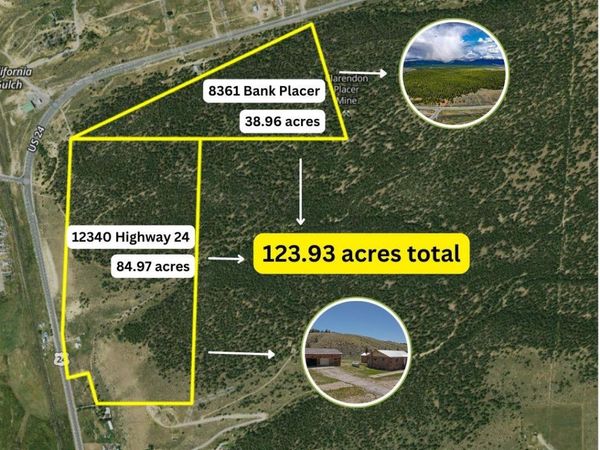 8361 Bank Placer , Leadville, CO 80461