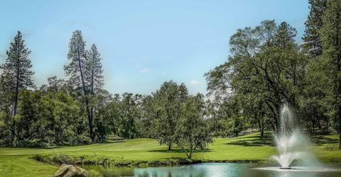 19048 Swallow Way, Penn Valley, CA 95946 Photo