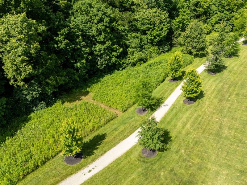2471 Beechknoll Court, Centerville, OH 45458 Photo 26