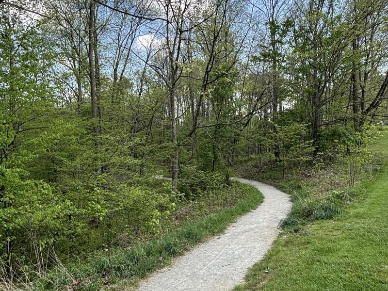 2471 Beechknoll Court, Centerville, OH 45458 Photo 35