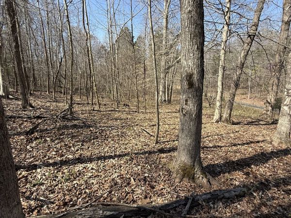 0 Brigham Branch Rd , Erin, TN 37061