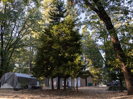 12123 Cement Hill Rd, Nevada City, CA 95959 Photo