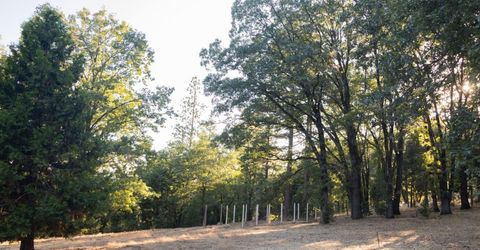 12123 Cement Hill Rd, Nevada City, CA 95959 Photo