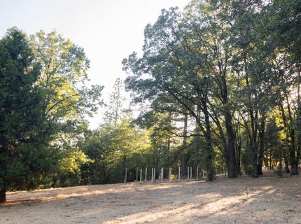 12123 Cement Hill Rd, Nevada City, CA 95959 Photo