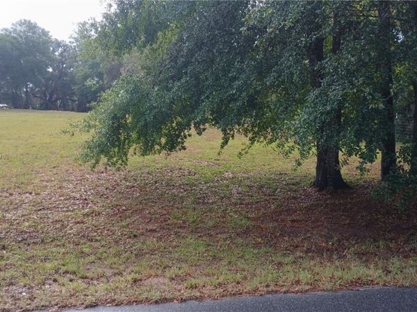 10233 S Appaloosa Ave, Floral City, FL 34436