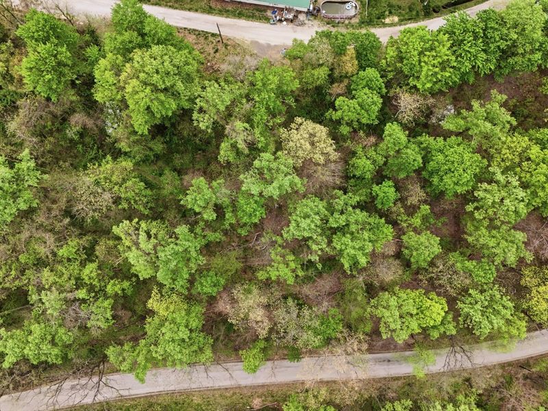 37011 Scout Road , Logan, OH 43138 Photo 45