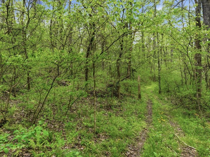 37011 Scout Road , Logan, OH 43138 Photo 46