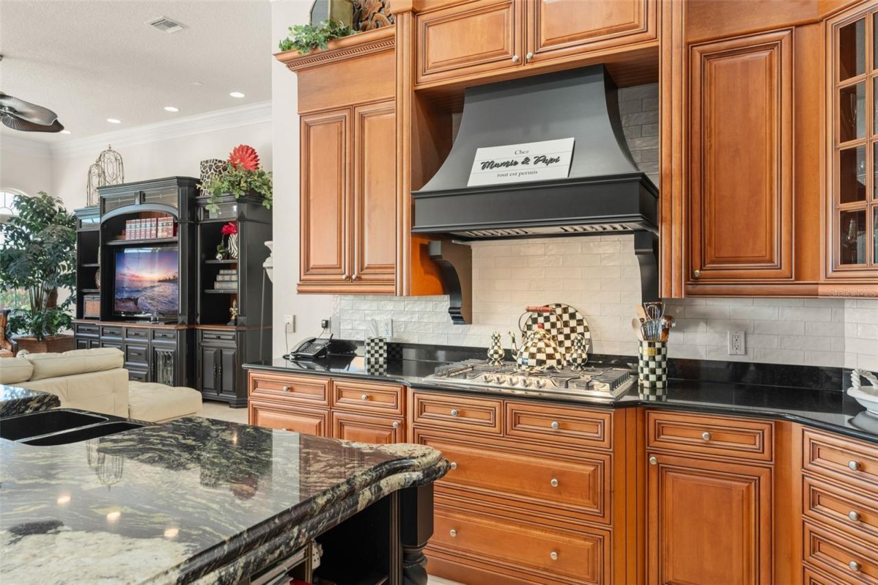 12699 Hawkstone Drive , Windermere, FL 34786 Photo