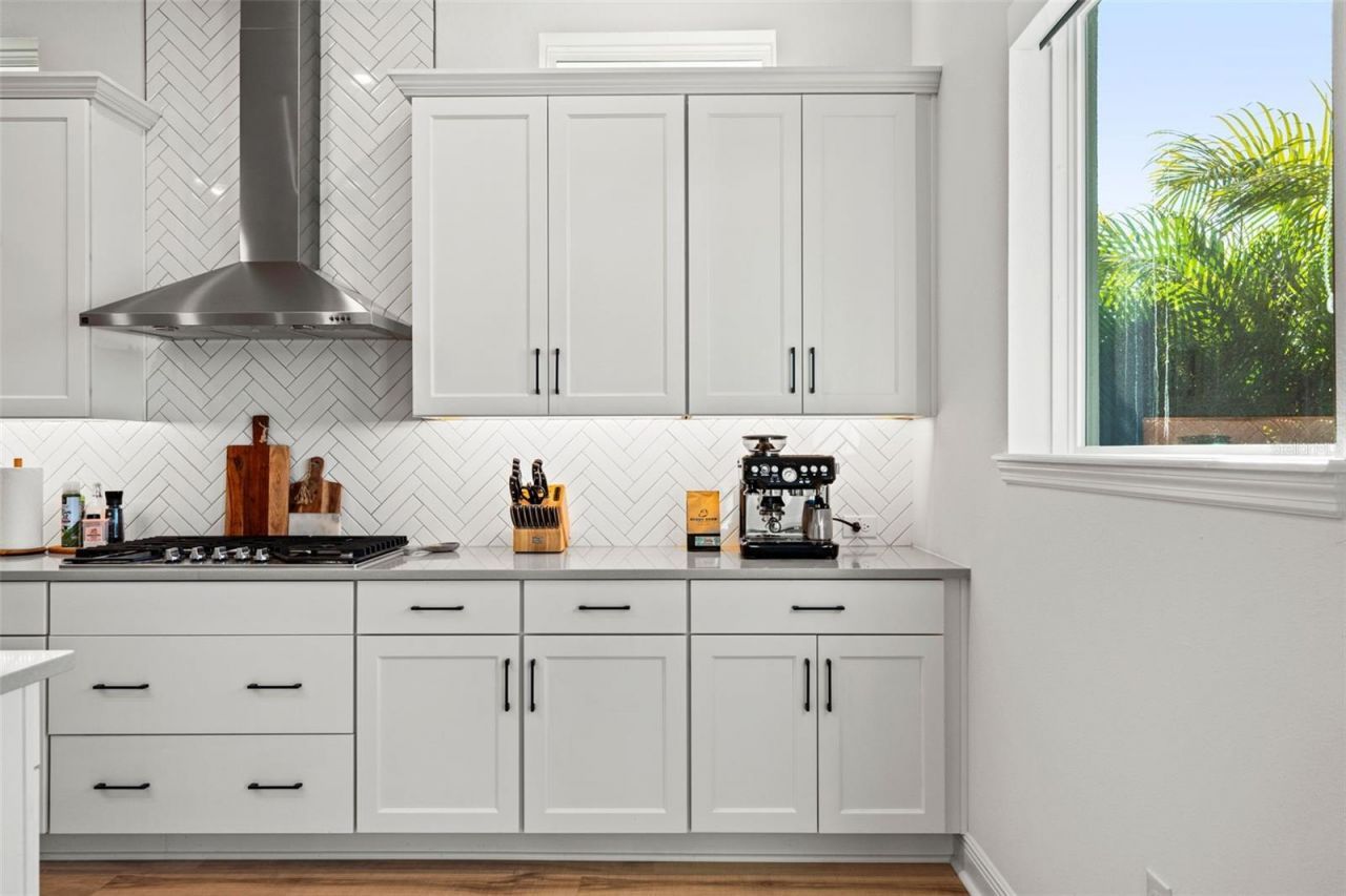 16396 Frehley Run , Land O Lakes, FL 34638 Photo