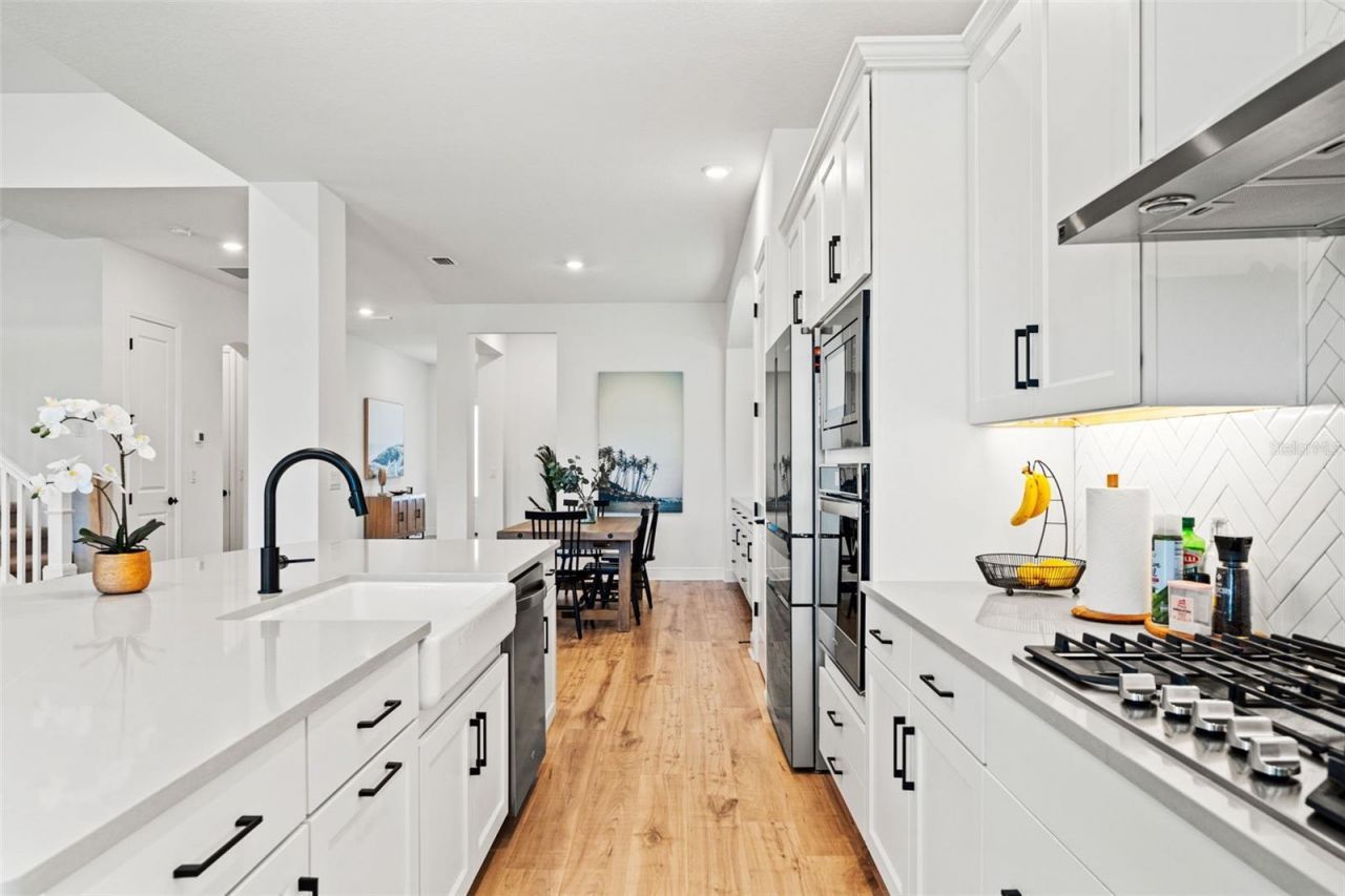 16396 Frehley Run , Land O Lakes, FL 34638 Photo