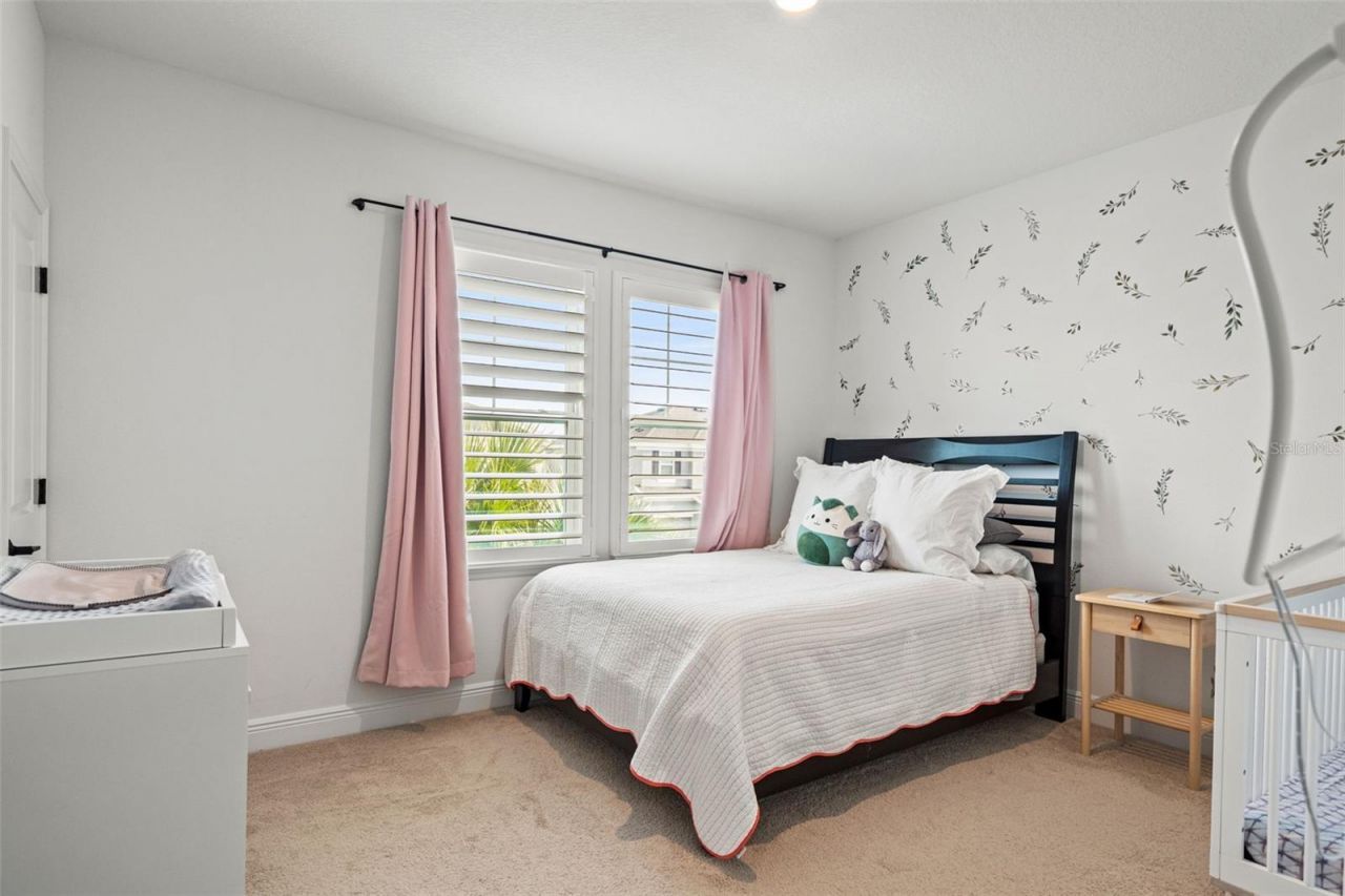 16396 Frehley Run , Land O Lakes, FL 34638 Photo