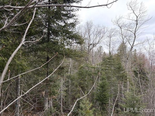 Two Track Road, Champion Twp, MI 49814