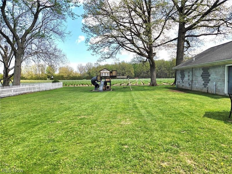 5869 Oberlin Road, Amherst, OH 44001 Photo 6