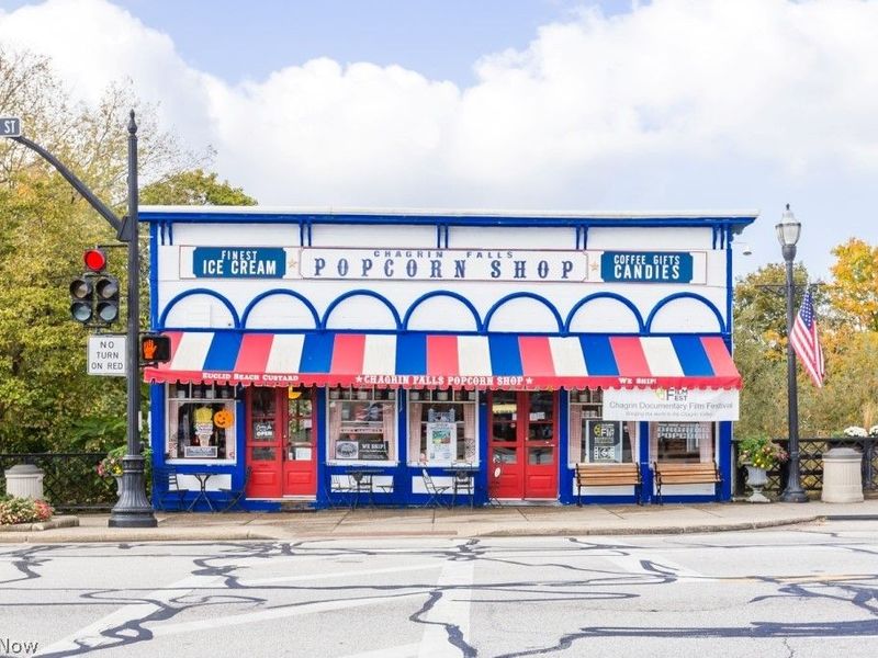 177 S Main Street, Chagrin Falls, OH 44022 Photo 49