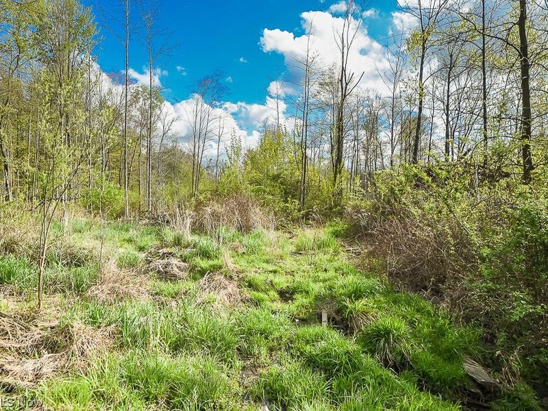 Us-322, Orwell, OH 44076 Photo 28