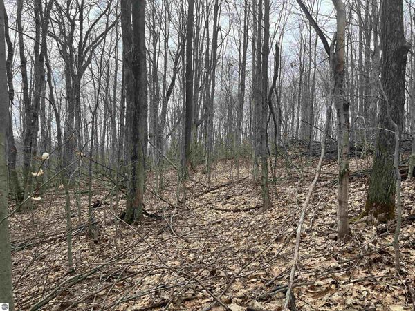 Deerfield Trail, Boyne Falls, MI 49713