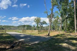 3302 Old Pond Road photo 4