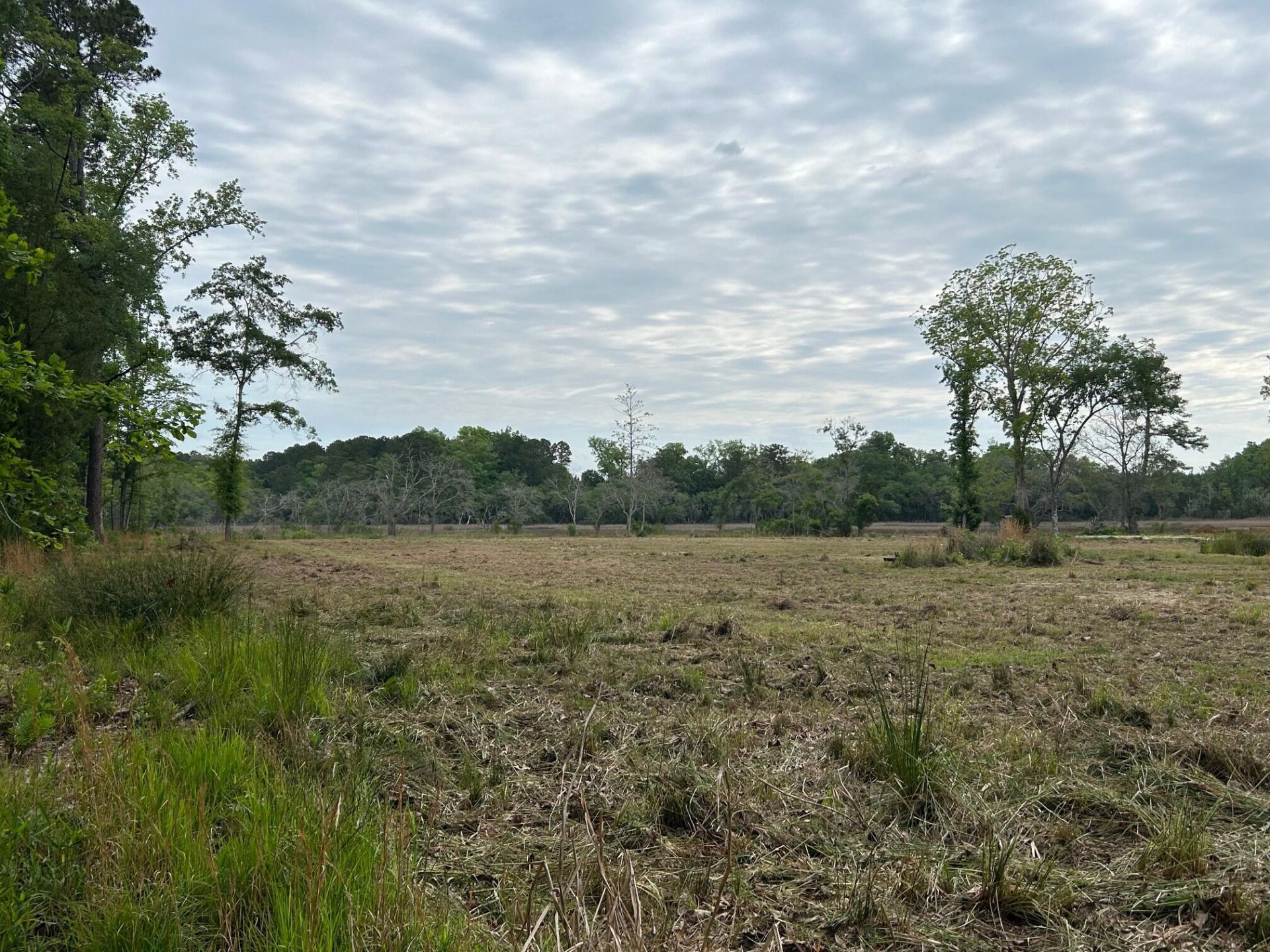 3302 Old Pond Road Photo 6