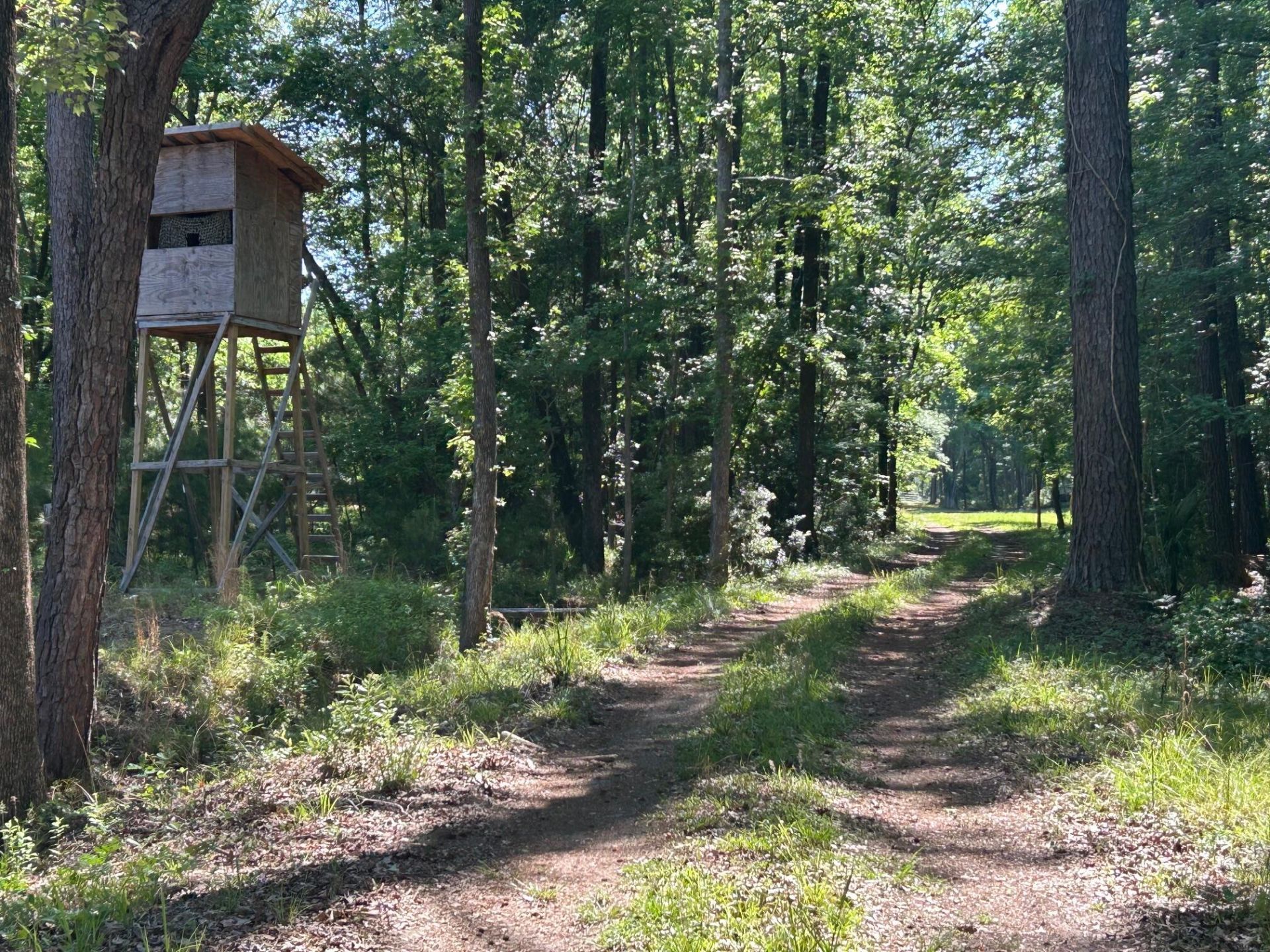 3302 Old Pond Road Photo 9