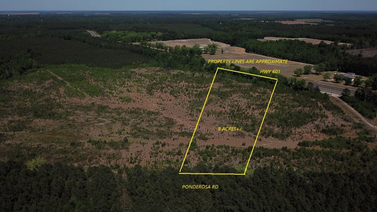 0000 Ponderosa Road Photo 1