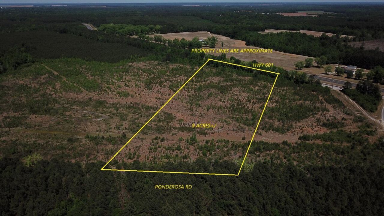 0000 Ponderosa Road Photo 2