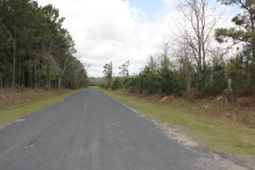 0000 Ponderosa Road photo 4