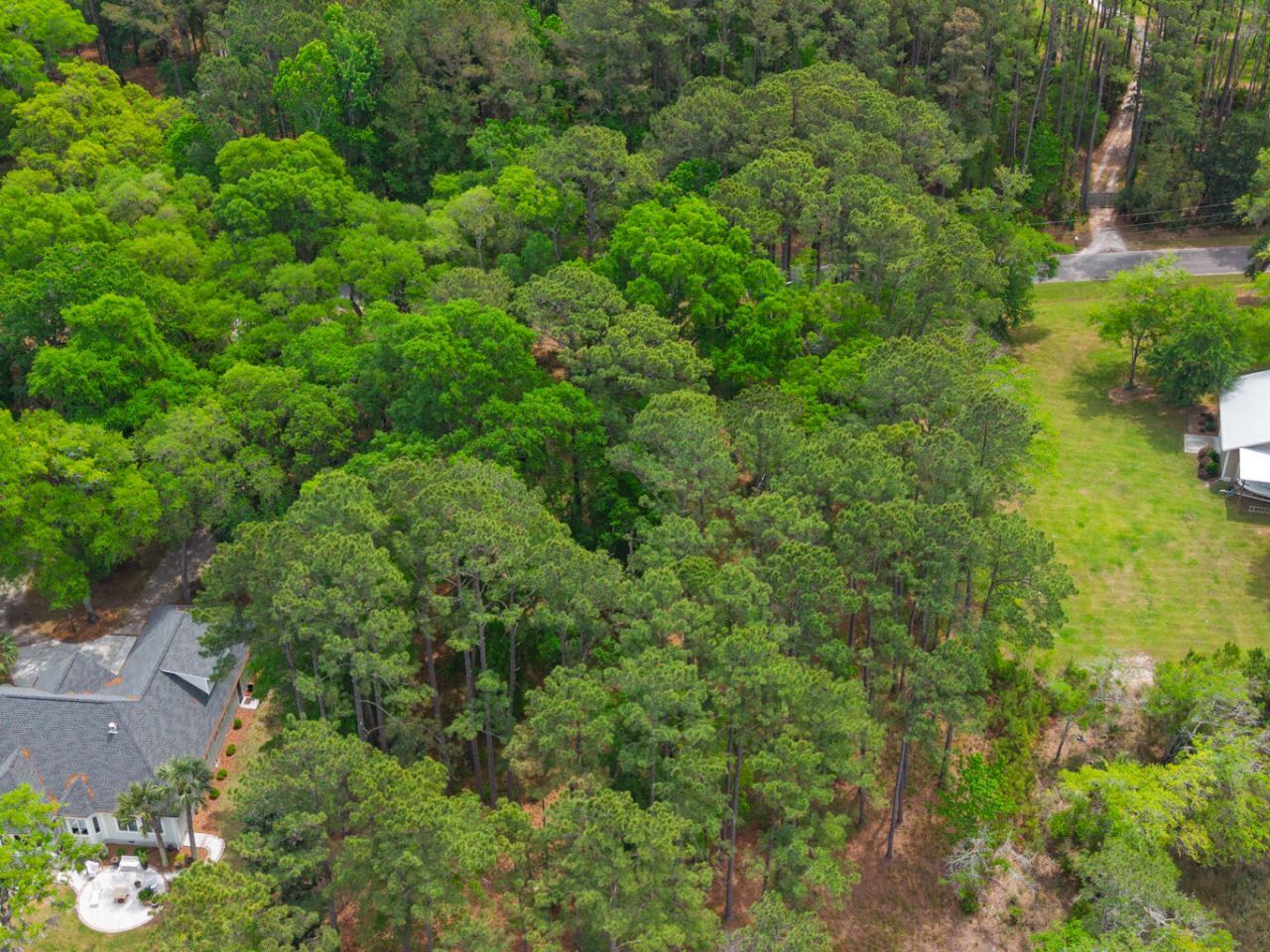 8468 Chisolm Plantation Road Photo 10