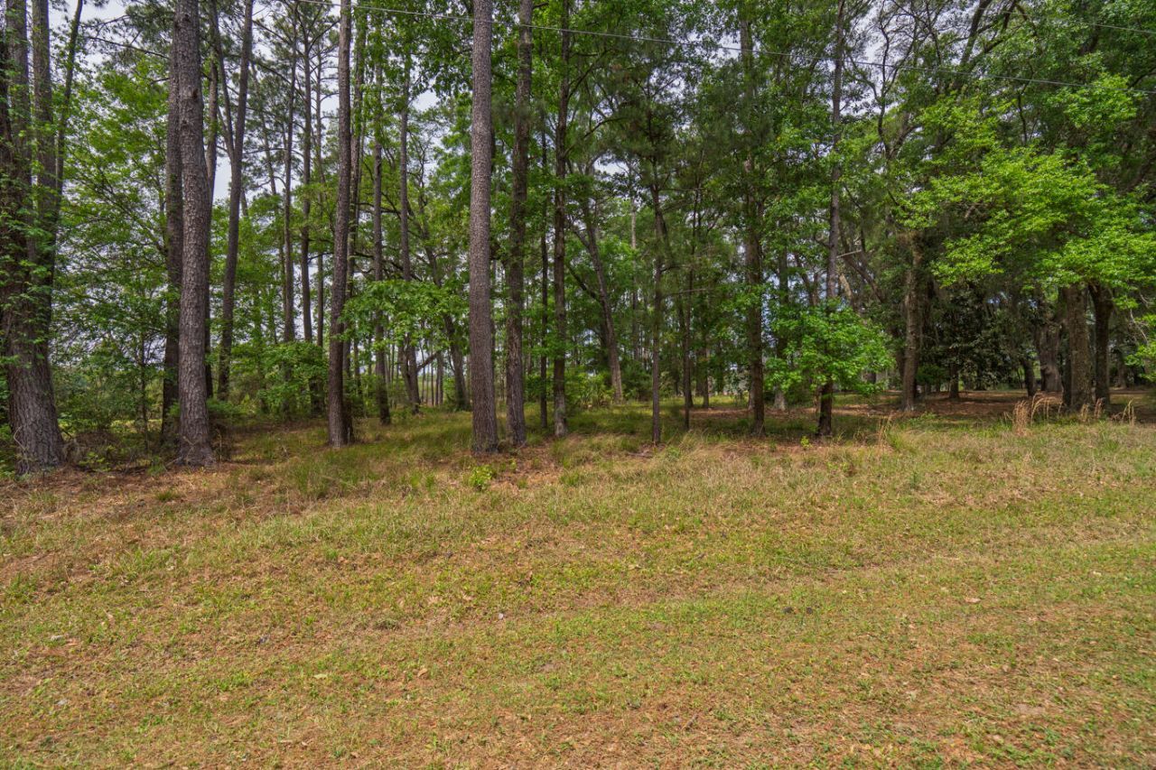8468 Chisolm Plantation Road Photo 11