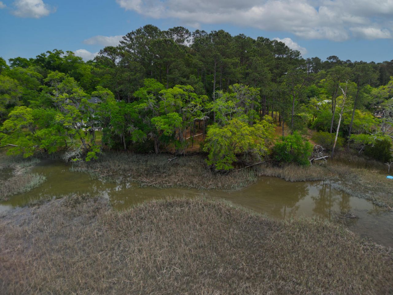 8468 Chisolm Plantation Road Photo 13