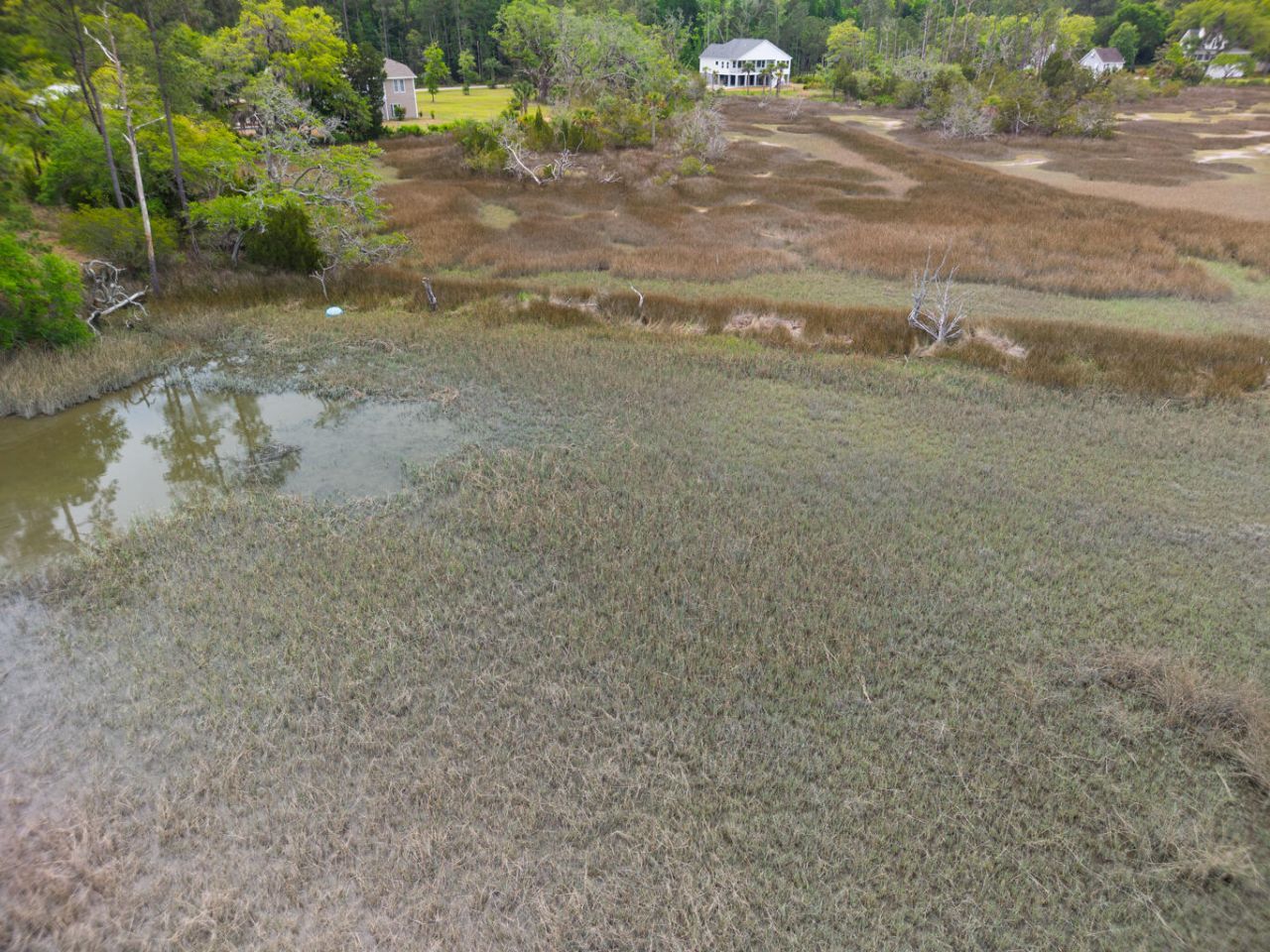 8468 Chisolm Plantation Road Photo 14