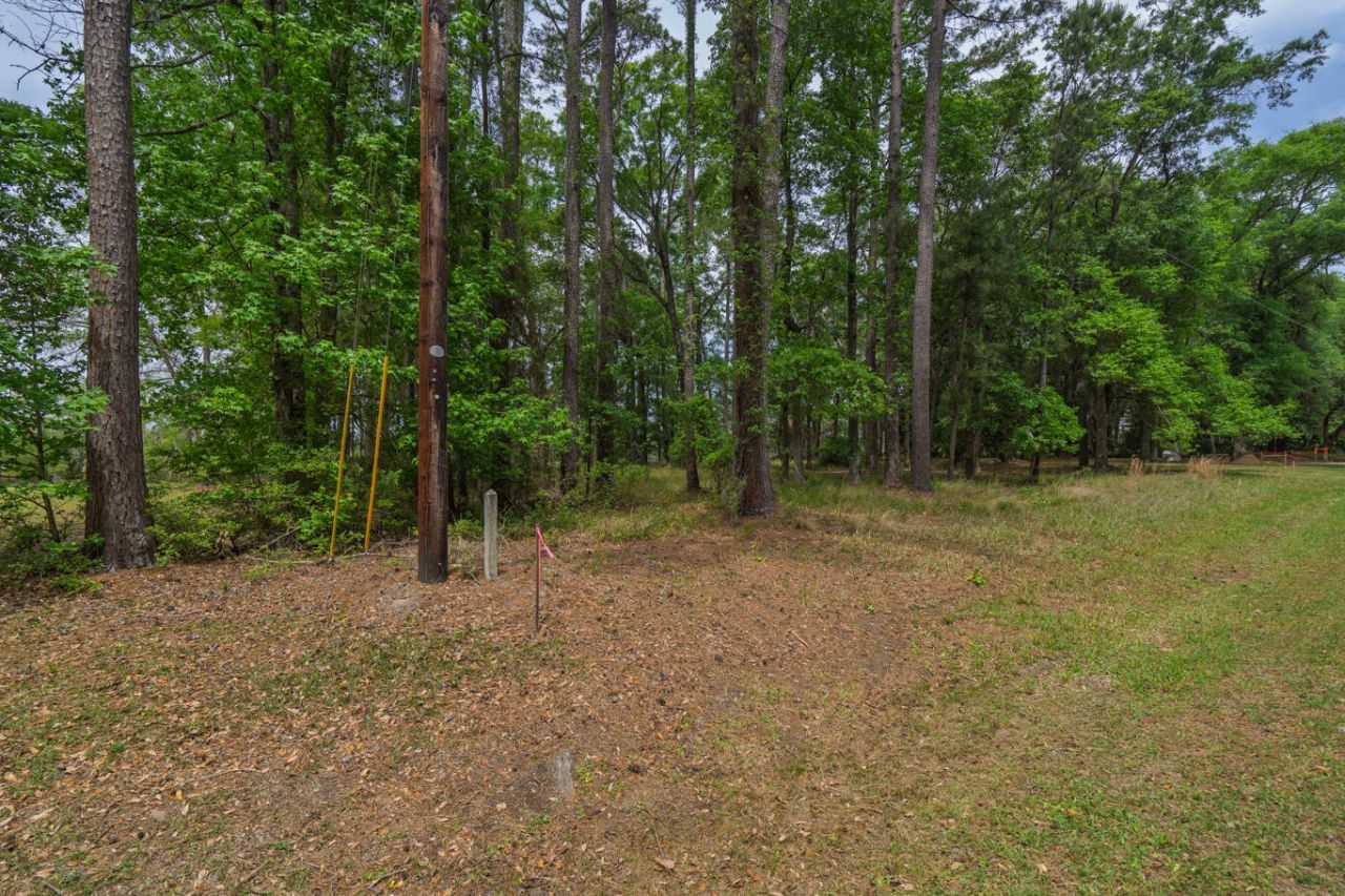 8468 Chisolm Plantation Road Photo 15