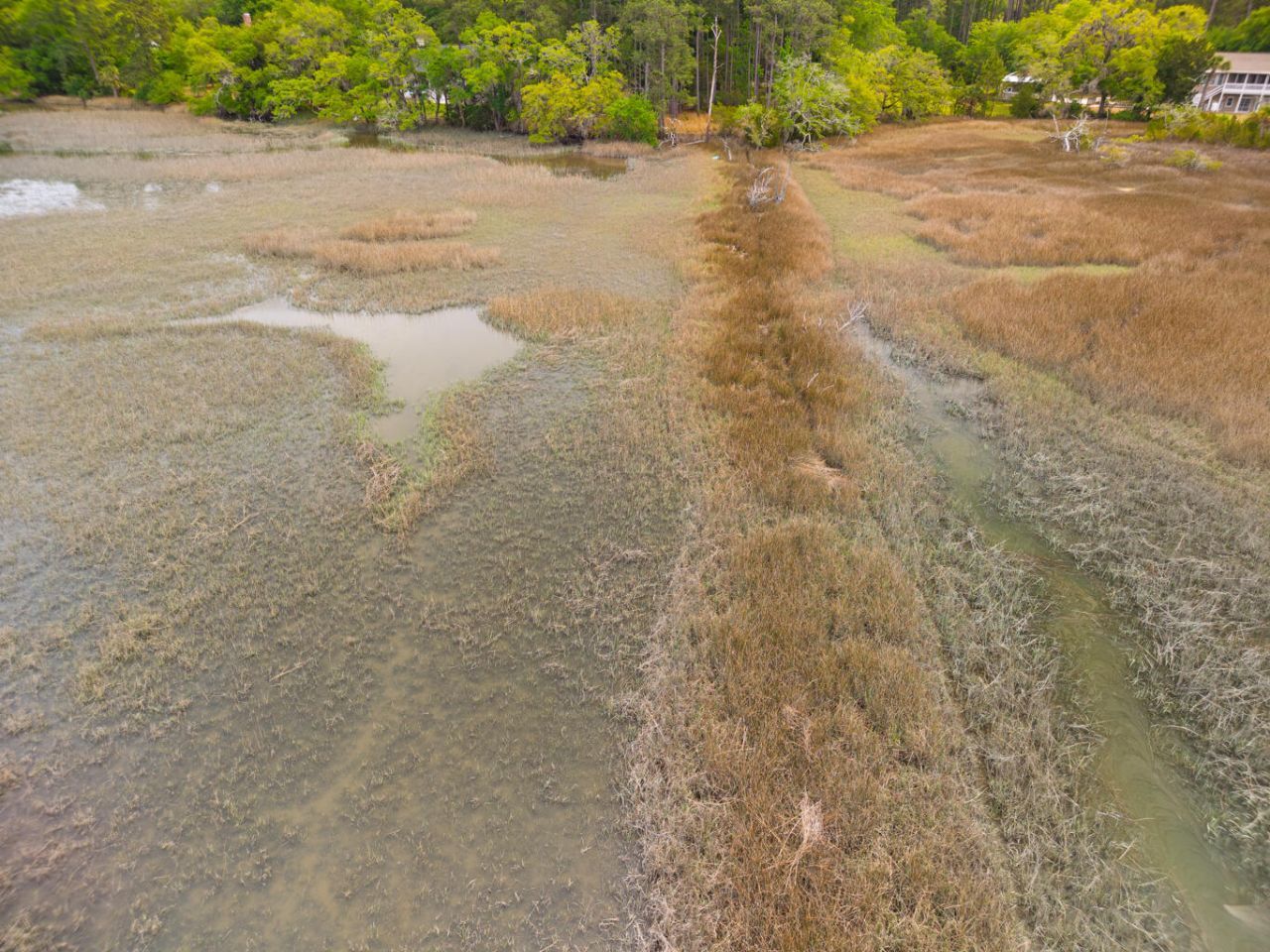 8468 Chisolm Plantation Road Photo 16