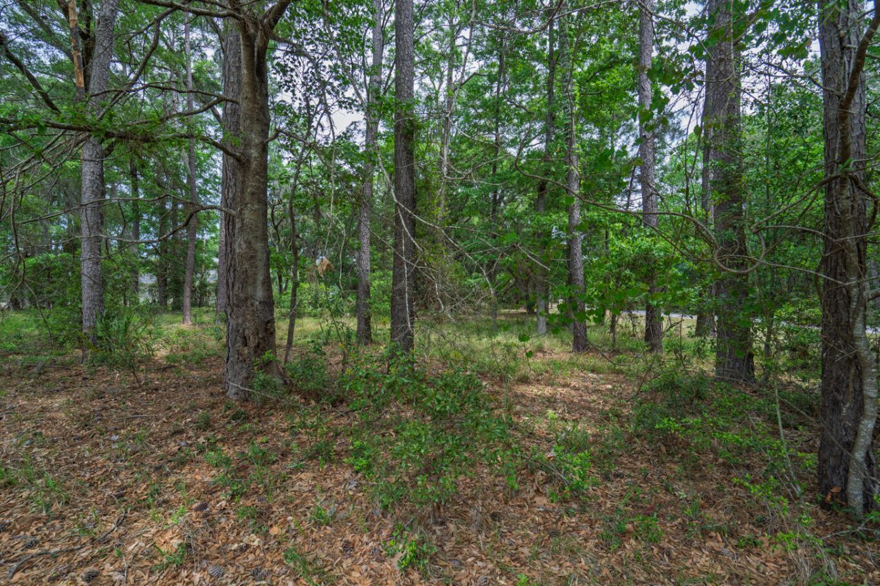 8468 Chisolm Plantation Road Photo 17