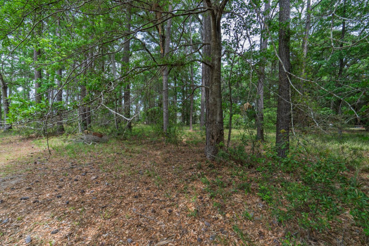 8468 Chisolm Plantation Road Photo 18