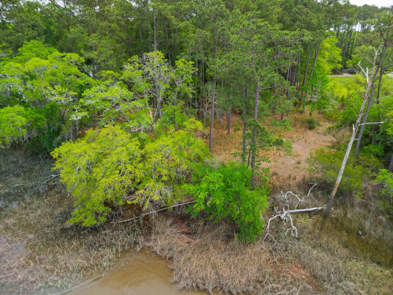 8468 Chisolm Plantation Road Photo 19