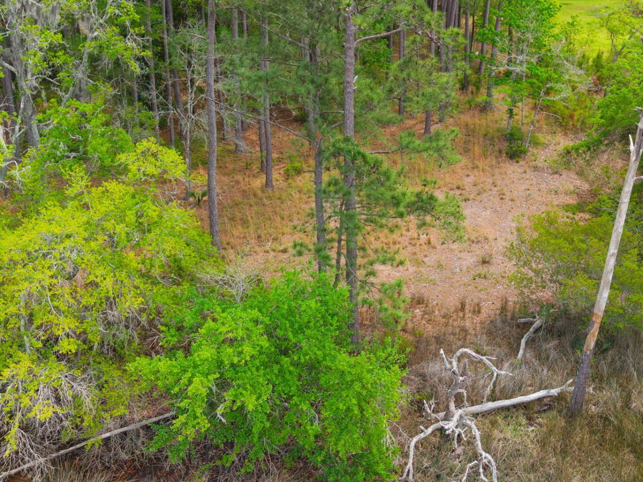 8468 Chisolm Plantation Road Photo 20